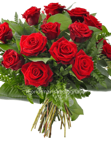 MAZZO 5 ROSE ROSSE GAMBO LUNGO
